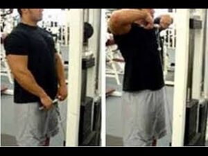 Read more about the article Shoulders cable upright row workout with expert trainer(male n female)