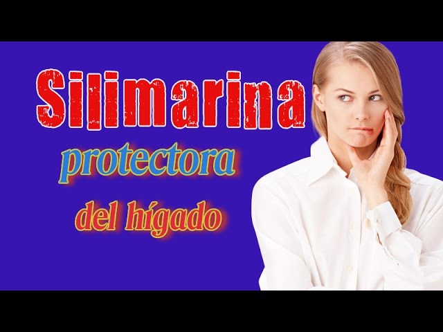 You are currently viewing Silimarina protectora del hígado – La silimarina del Cardo Mariano es Buena para el higado