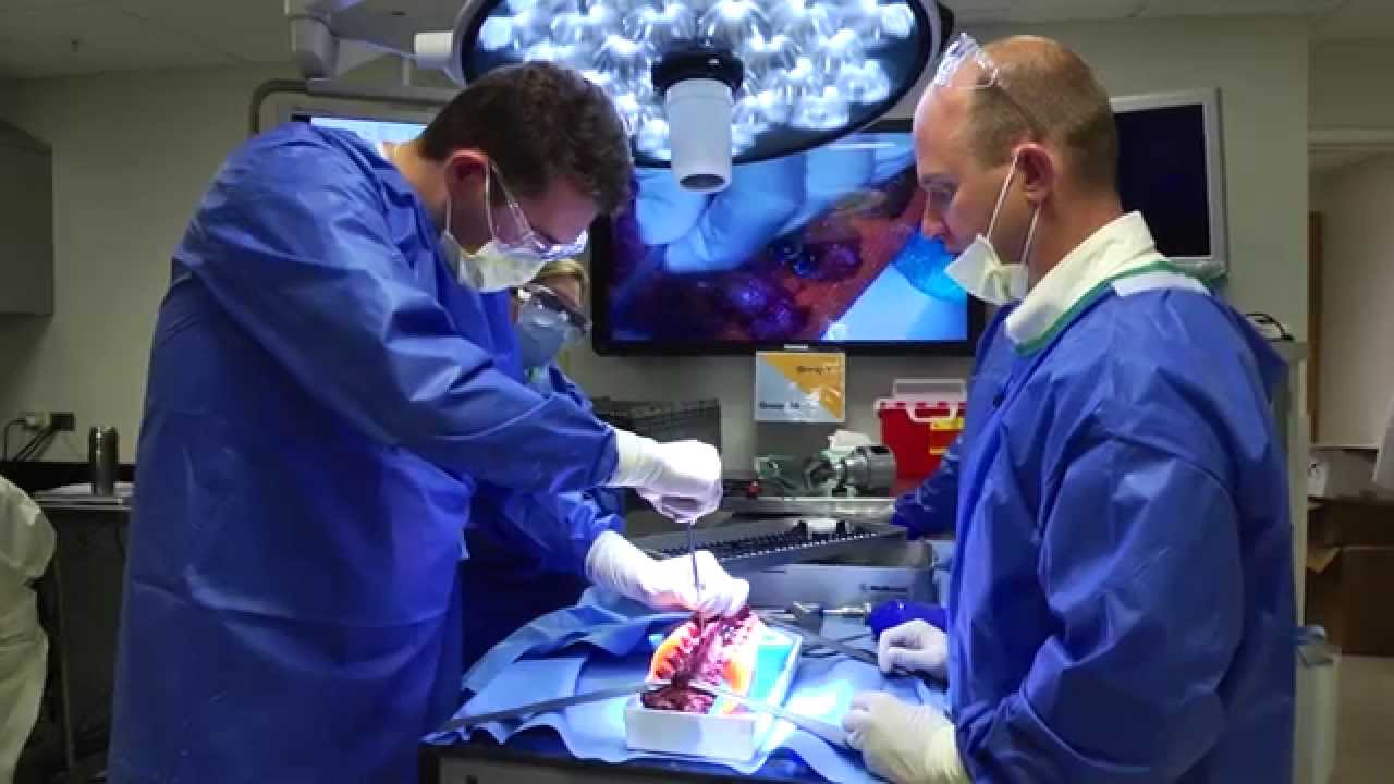 You are currently viewing Orthopedic Surgery Video – 3