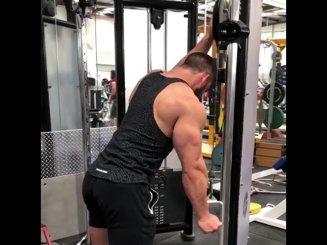 You are currently viewing Single hand Triceps extension
