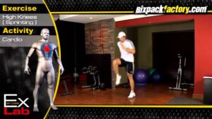 Sprinting ( High Knees ) : Best Cardio Exercises