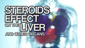 Read more about the article Steroids Effect on the Liver and Other Organs
