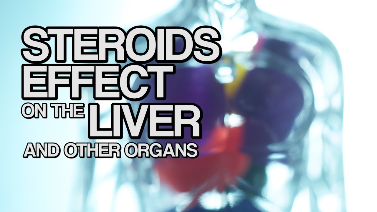 You are currently viewing Steroids Effect on the Liver and Other Organs