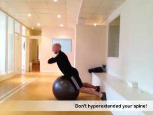 Swiss Ball Back Extension – Medium