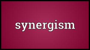 Read more about the article Synergism Meaning
