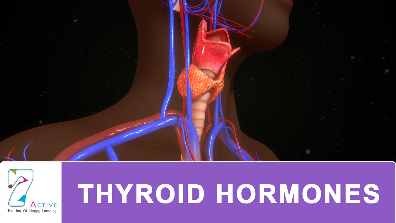 You are currently viewing THYROID HORMONES