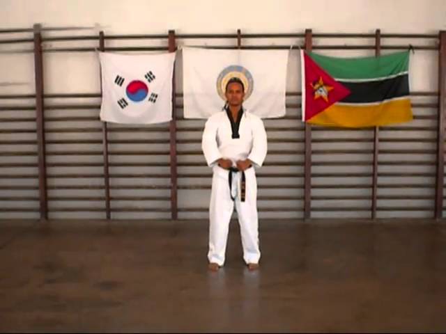 You are currently viewing Taekwondo Video – 3
