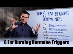 The 6 Fat Burning Hormones Triggers Explained By Dr.Berg