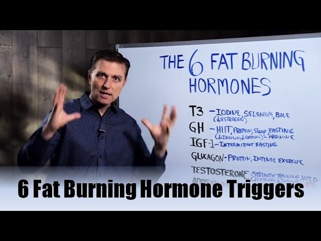 You are currently viewing The 6 Fat Burning Hormones Triggers Explained By Dr.Berg