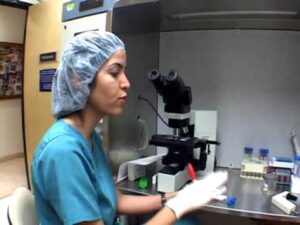 Andrology Video – 4