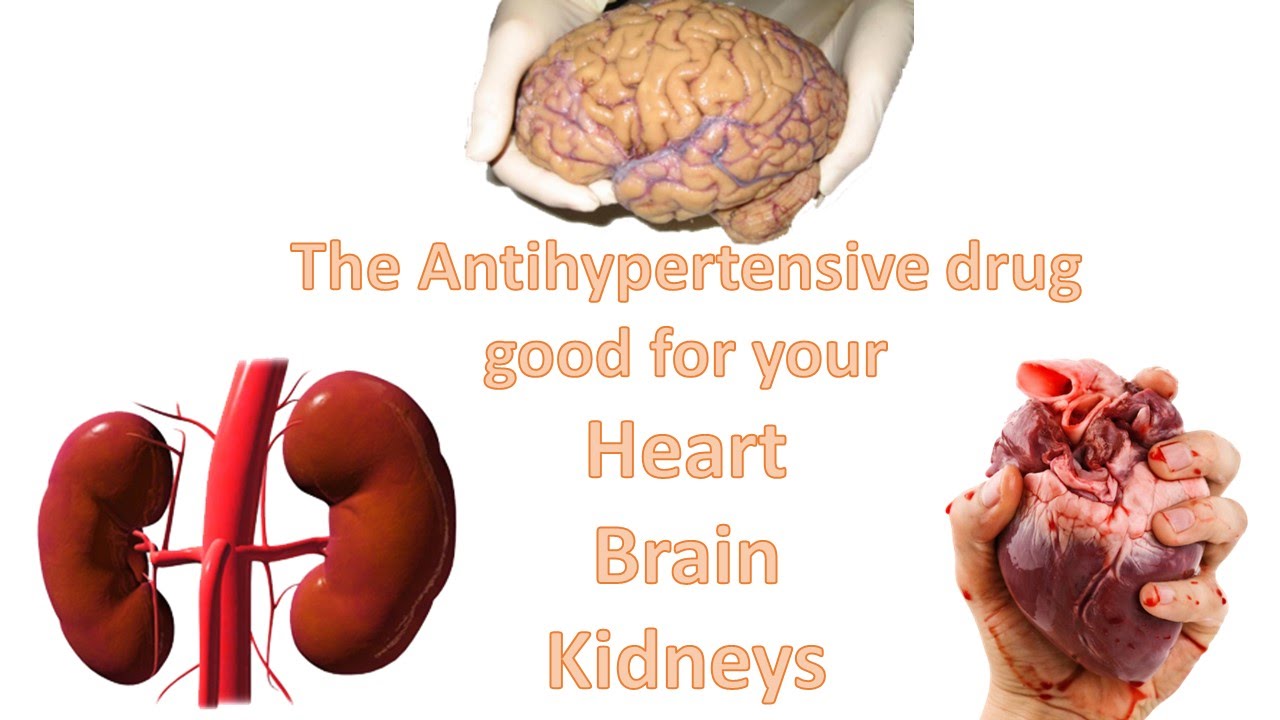You are currently viewing The Antihypertensive drug good for your Heart, Brain & Kidneys