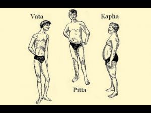Read more about the article The Ayurvedic Body Types and Their Characteristics (Vata Pitta Kapha)