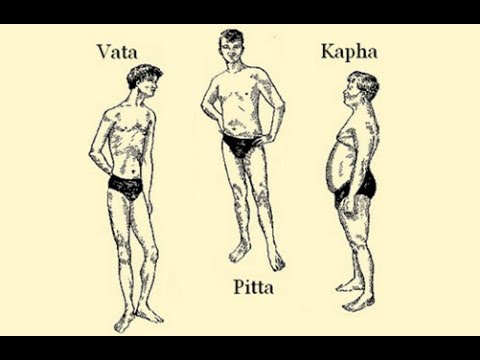 You are currently viewing The Ayurvedic Body Types and Their Characteristics (Vata Pitta Kapha)