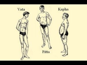 Read more about the article The Ayurvedic Body Types and Their Characteristics (Vata, Pitta, Kapha)