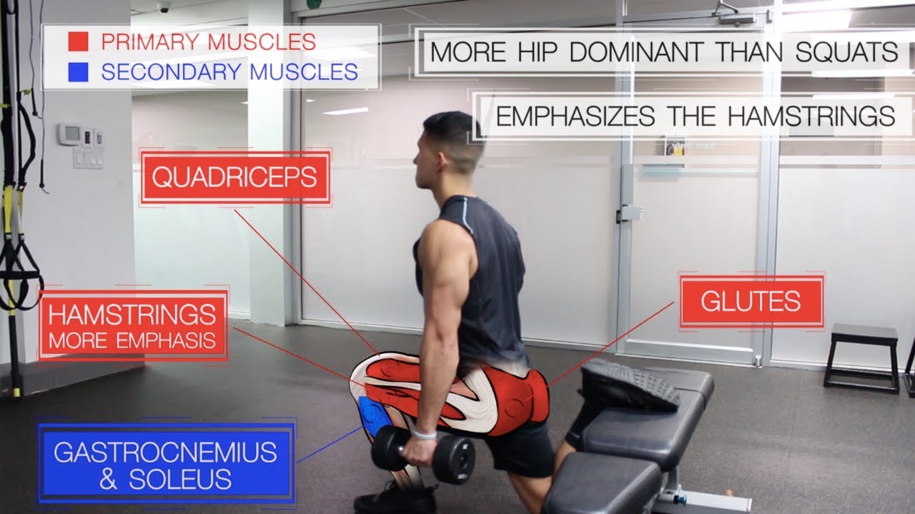 You are currently viewing The Best Science-Based Leg Workout for Growth (Glutes/Quads/Hams)