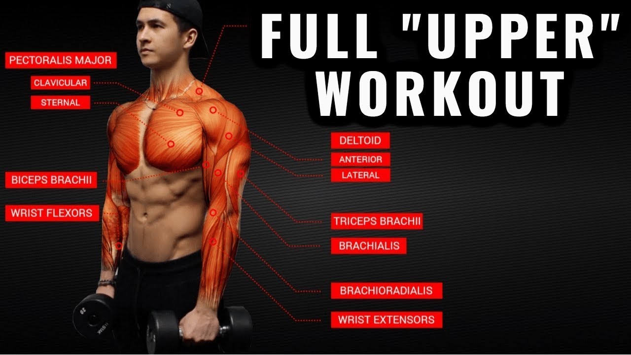 You are currently viewing The Best Science-Based Upper Body Workout for Growth (Chest/Back/Arms/Shoulders)
