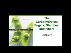 Carbohydrate Nutrition Video – 1
