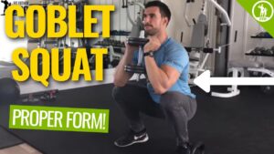 Read more about the article Muscle Building Workout & Squats Video – 33