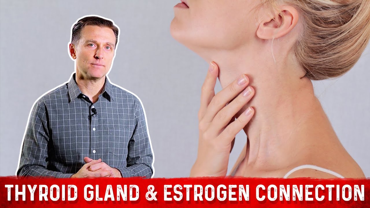 You are currently viewing The Iodine-Estrogen Connection: MUST WATCH! Dr.Berg
