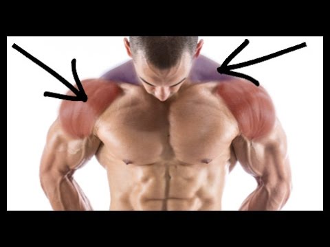You are currently viewing The Key To A Wide And Powerful Looking Upper Body