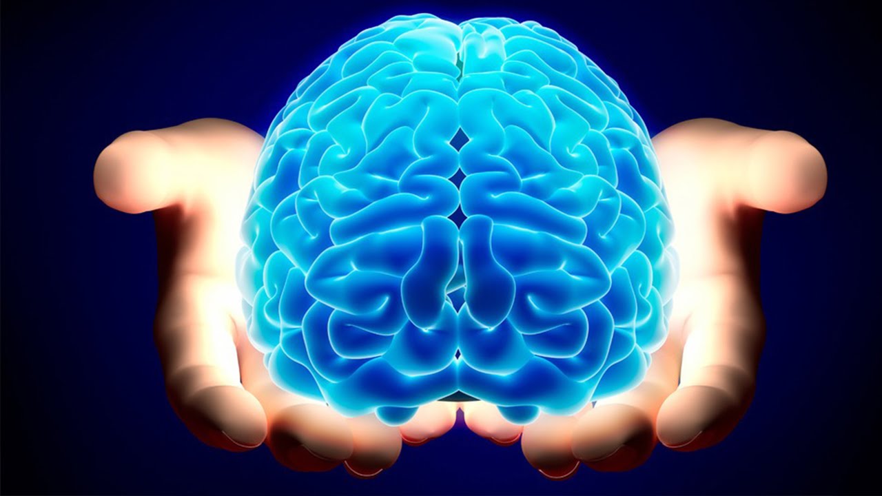 You are currently viewing The Most Amazing Facts About The Human Brain
