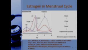 The Role of Estrogen in Pregnancy