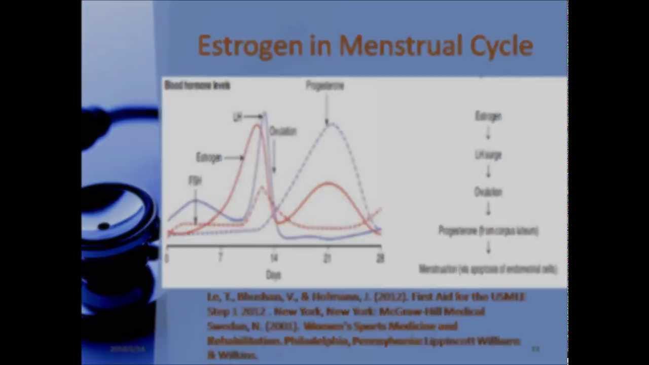 You are currently viewing The Role of Estrogen in Pregnancy