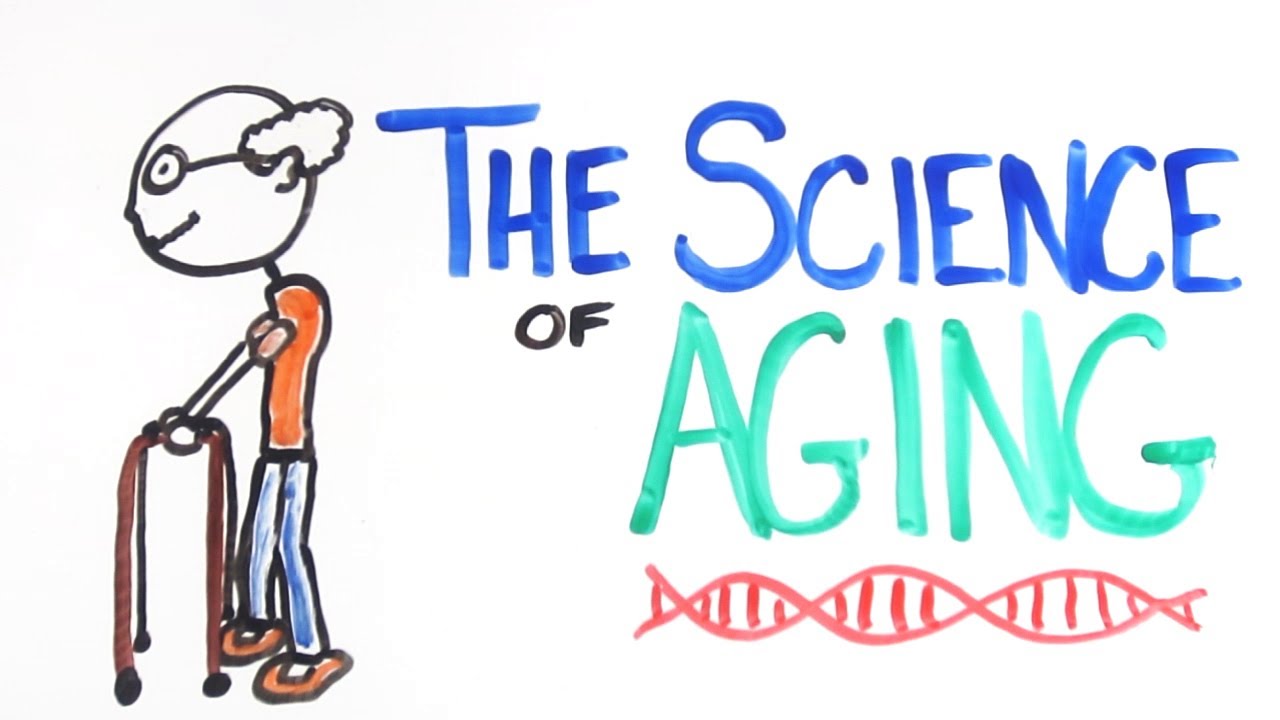 You are currently viewing The Science of Aging