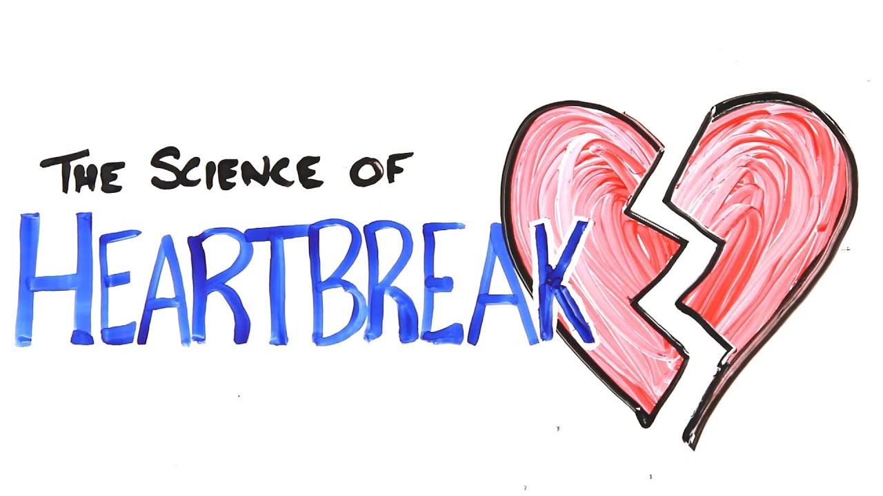 You are currently viewing The Science of Heartbreak
