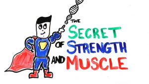 Read more about the article The Scientific Secret of Strength and Muscle Growth