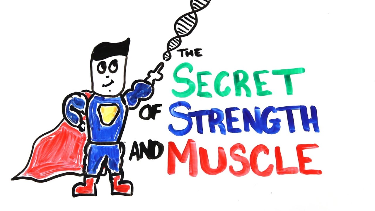 You are currently viewing The Scientific Secret of Strength and Muscle Growth