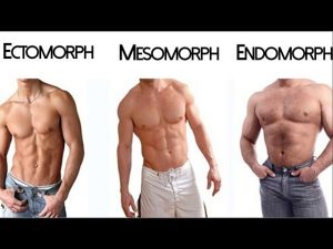 Read more about the article The Somatotype Myth: Ectomorph Mesomorph Endomorph