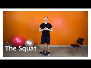Muscle Building Workout & Squats Video – 1