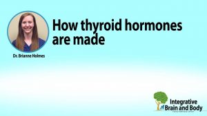 The Suprising Facts on How and Where Exactly Thyroid Hormones Are Made