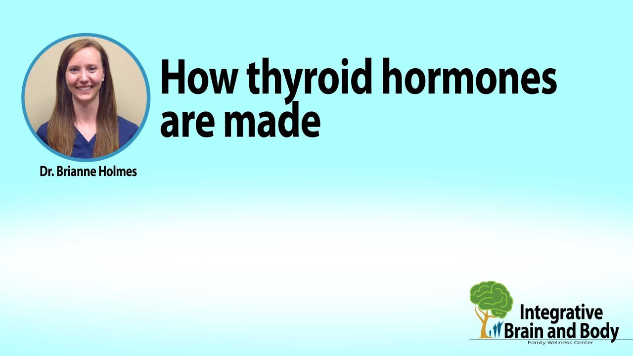 You are currently viewing The Suprising Facts on How and Where Exactly Thyroid Hormones Are Made