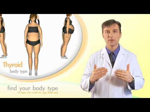 You are currently viewing The Thyroid Body Type