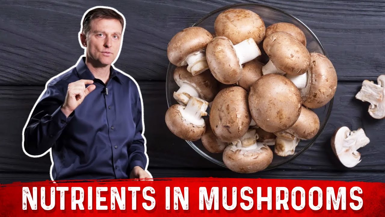 You are currently viewing Mushroom Nutrition Video – 2
