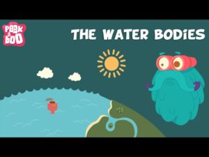 Read more about the article The Water Bodies | The Dr. Binocs Show | Educational Videos For Kids