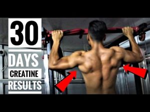 The benefits of creatine UNBELIEVABLE!!   Before and after results