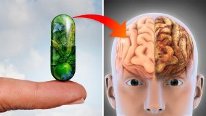 These 3 Vitamins May Stop Brain Loss And Prevent Alzheimer’s Disease