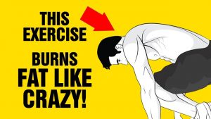 Read more about the article This Full Body Exercise Burns Fat Like Crazy – One Exercise Fat Burning Workout – Sixpack Factory
