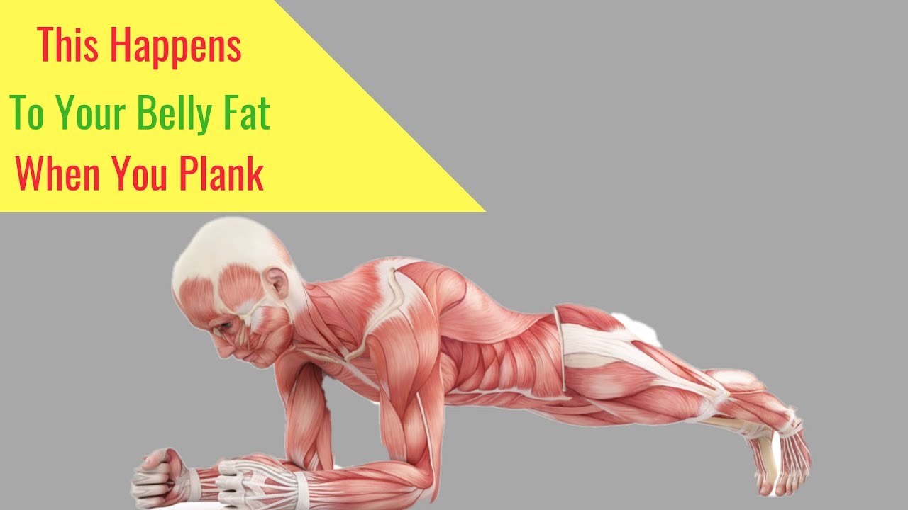 You are currently viewing This Happens to Your Stomach Fat When You  Plank – 6 Good Reasons Why You Should Do Plank Daily