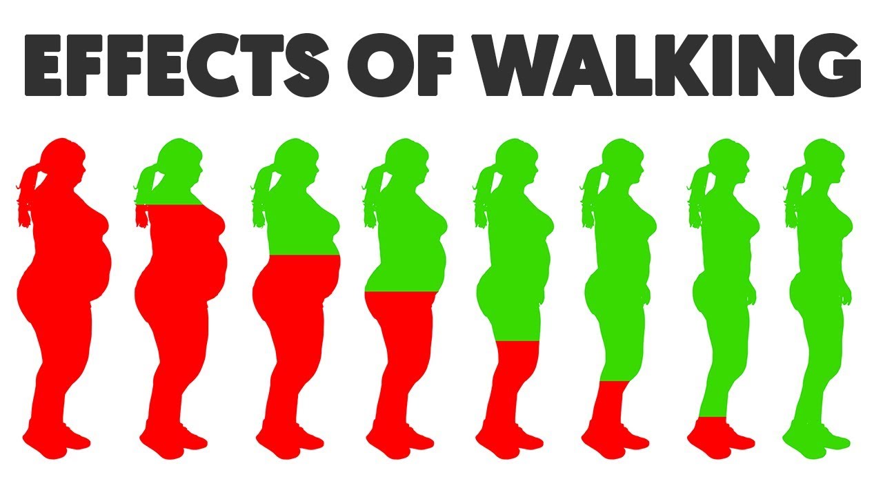 You are currently viewing This is What Happens To Your Body When you Walk 5, 30 and 60 Minutes