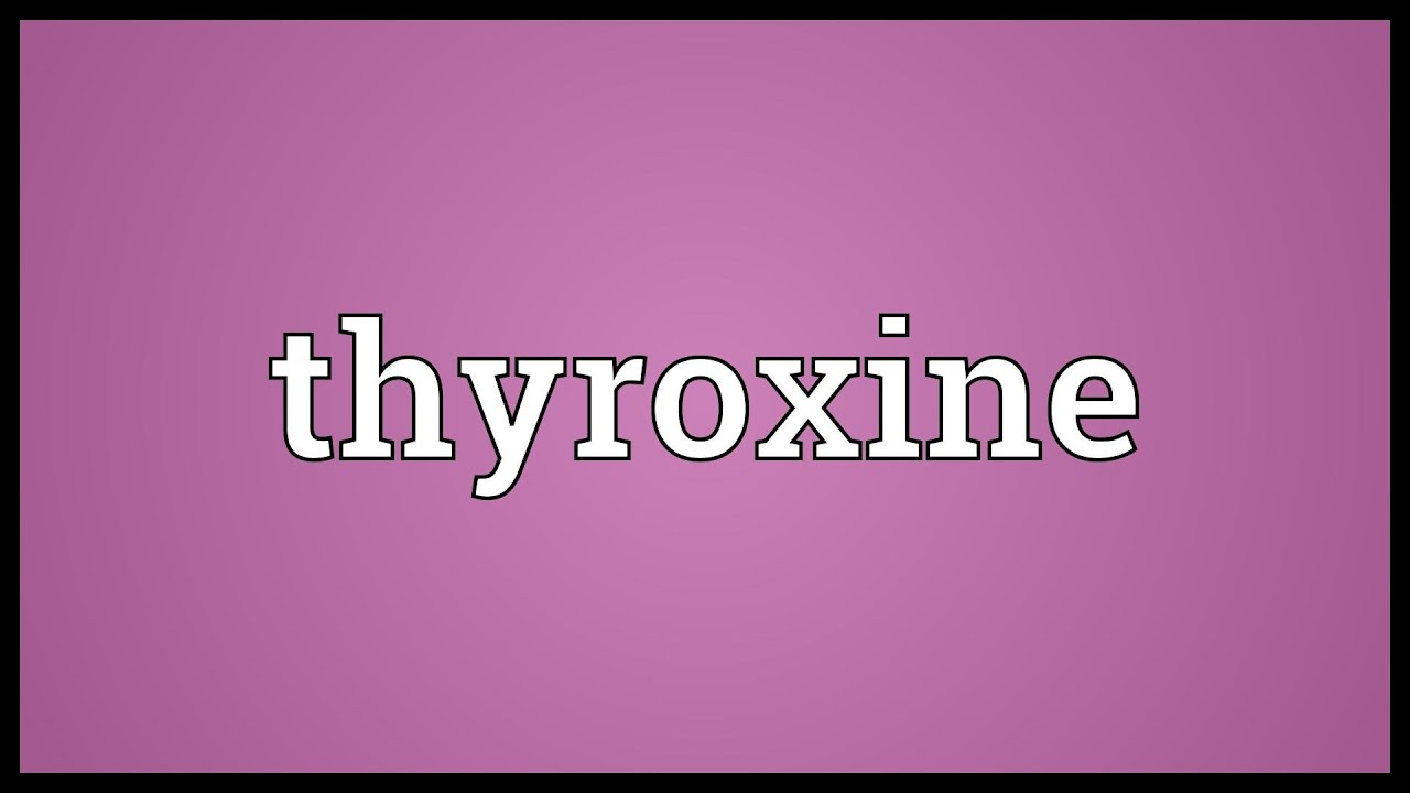 You are currently viewing Thyroxine Meaning