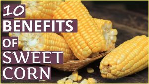 Read more about the article Top 10 HEALTH BENEFITS OF SWEET CORN