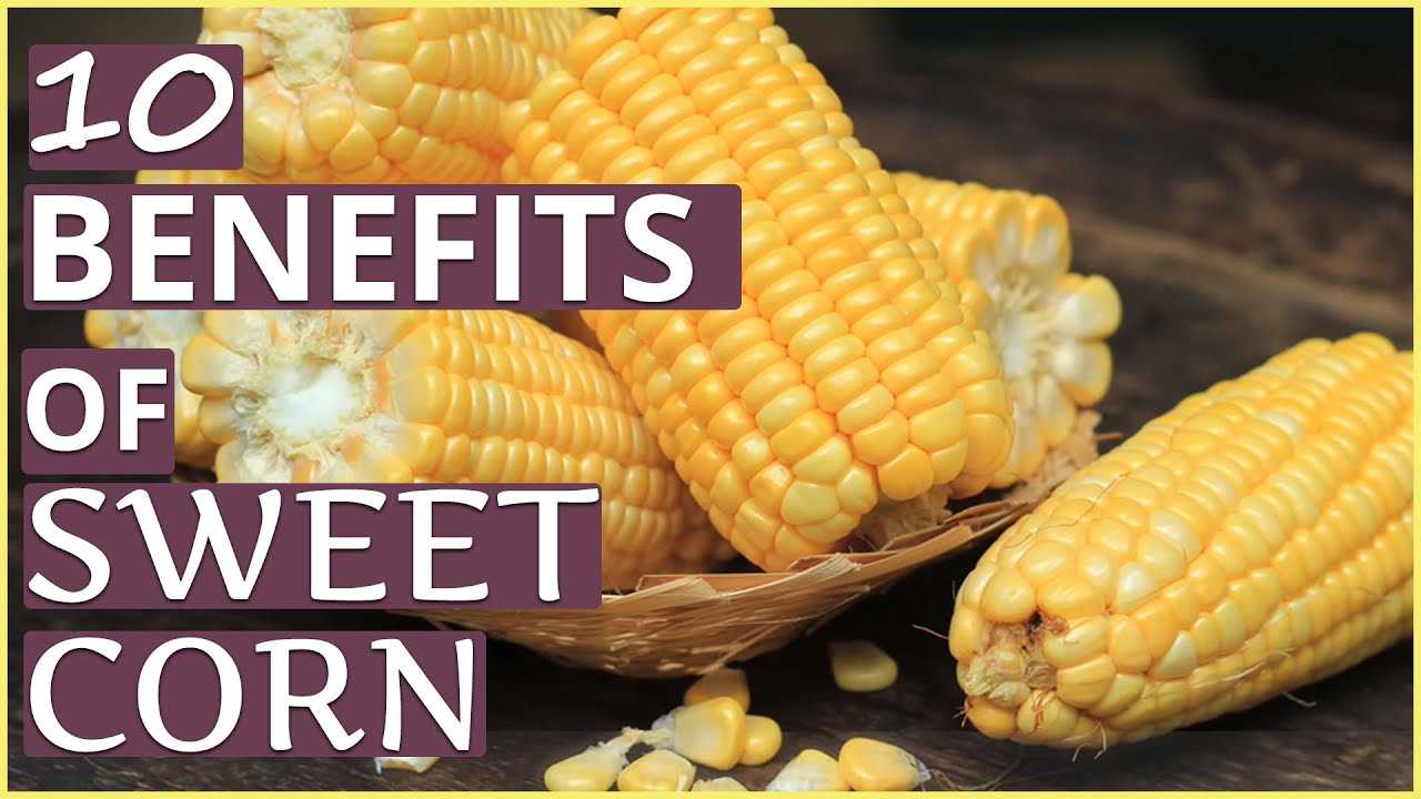 You are currently viewing Top 10 HEALTH BENEFITS OF SWEET CORN