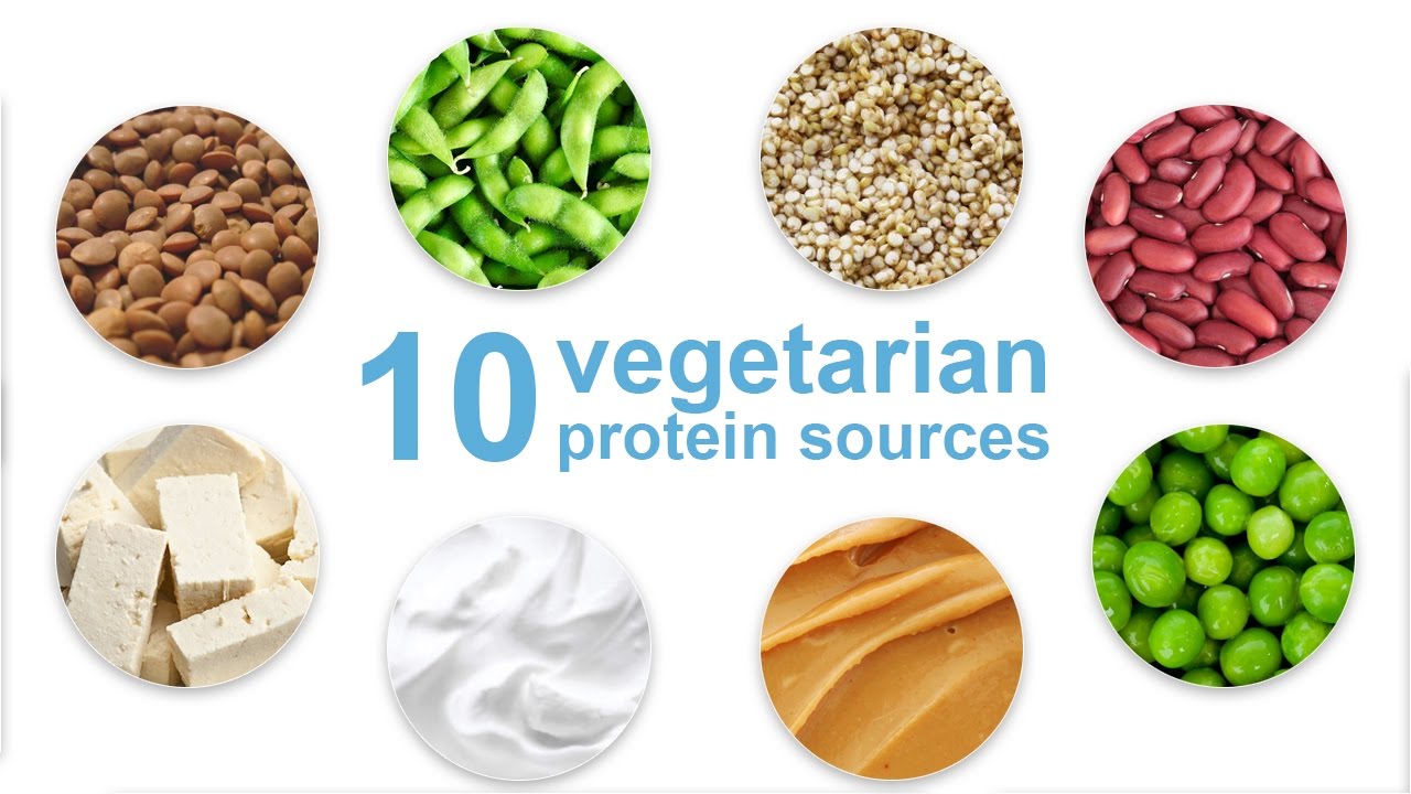 You are currently viewing Top 10 Vegetarian Protein Sources