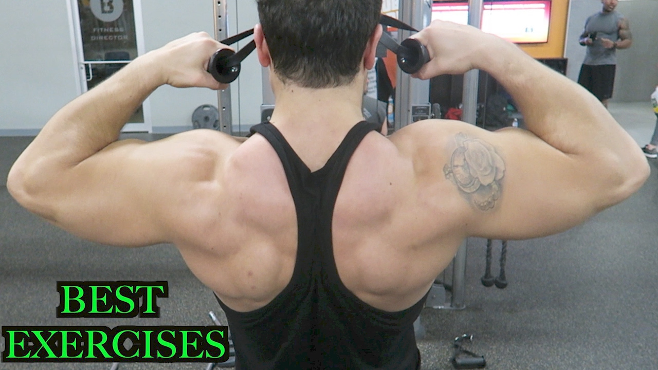 You are currently viewing Top 3 Exercises to Build Rear Delts, Rhomboids, & Middle Traps