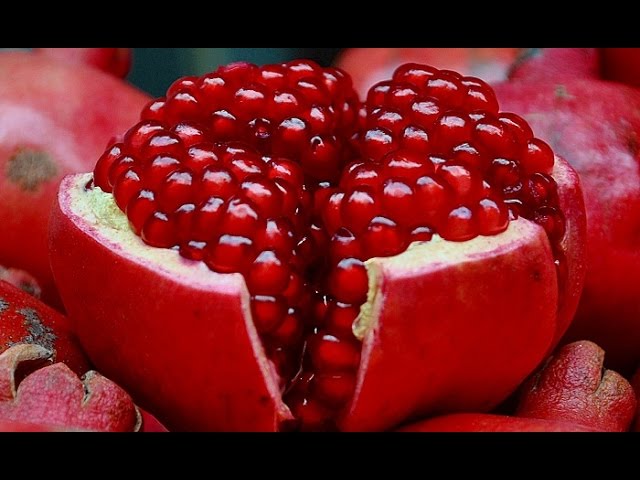 You are currently viewing Top 5 Fruits That Burn Belly Fat