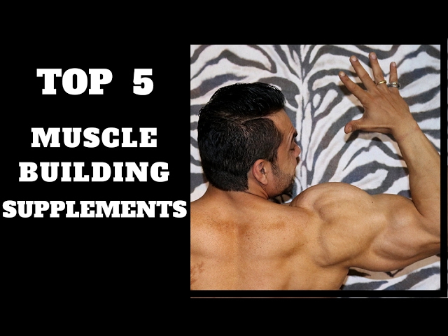 You are currently viewing Top 5 Supplements for Muscle Growth